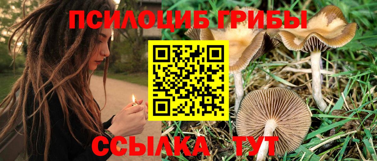 Псилоцибиновые грибы MAGIC MUSHROOMS Фрязино