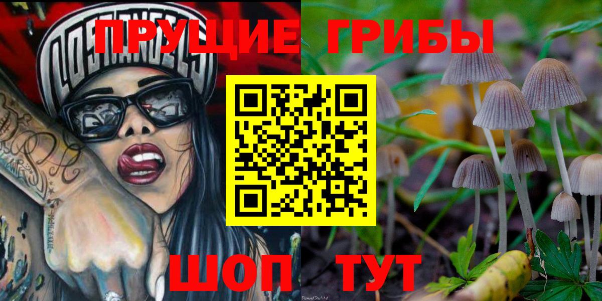 Псилоцибиновые грибы мицелий Фрязино
