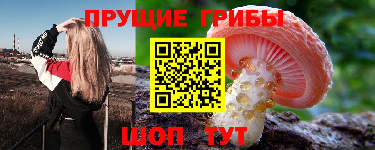 Псилоцибиновые грибы мицелий  Фрязино 