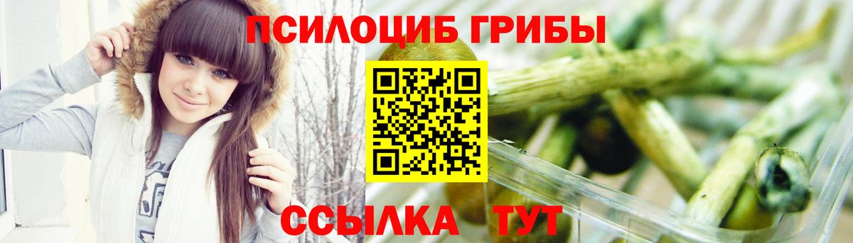 Псилоцибиновые грибы мицелий  Вход с VPN  Фрязино 